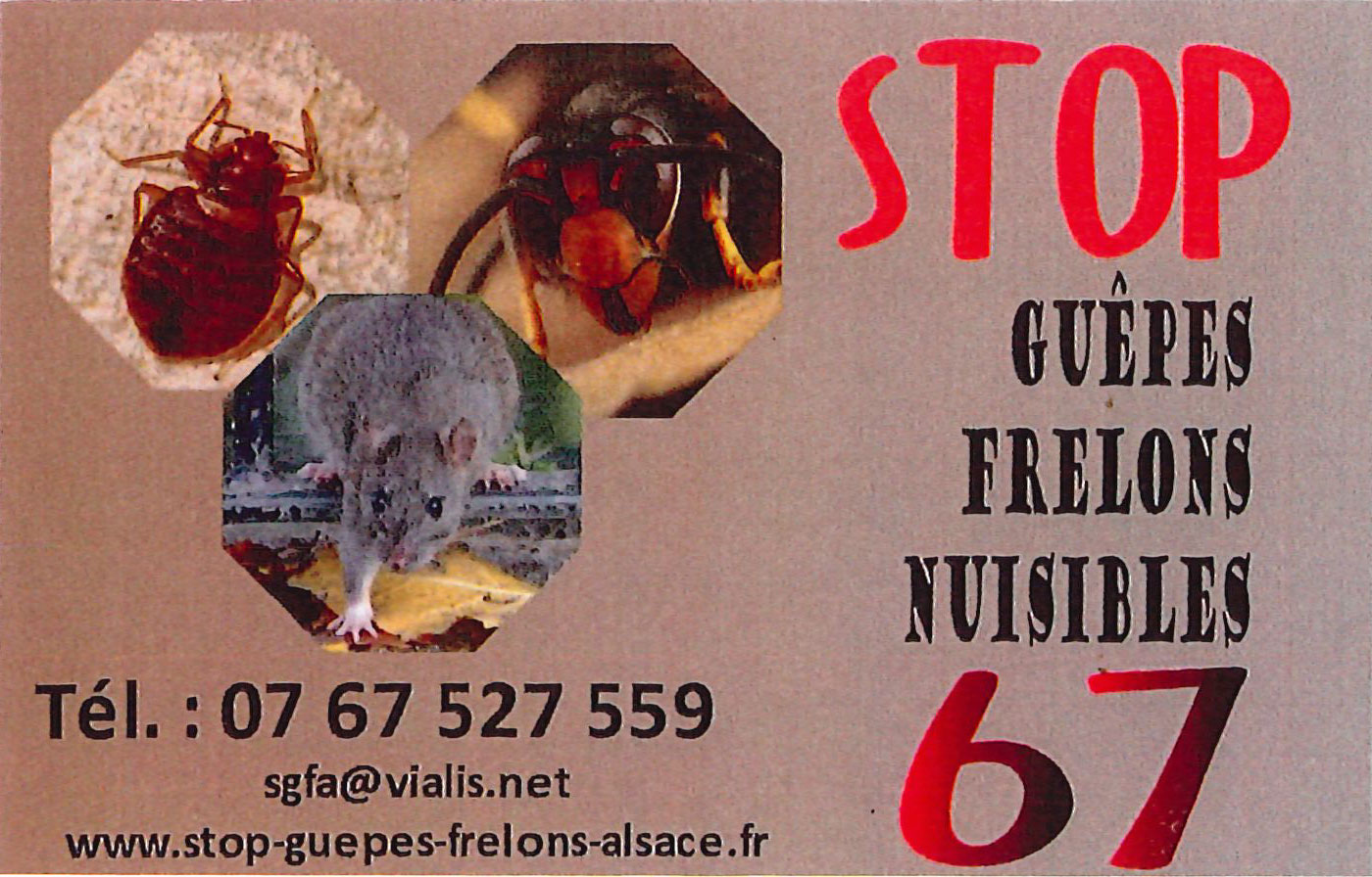 Stop Guêpes frelons nuisibles 67